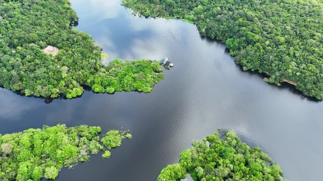 Amazonian Rainforest In Manaus Amazonas Brazil. Amazon Rainforest Showing River Winding Dense Jungle. Ecuador Nature Rain Forest Hydrography Bay. Rain Forest Savage Forest. Manaus Amazonas.