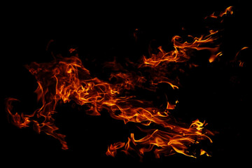 Vibrant Flames Burning in the Darkness