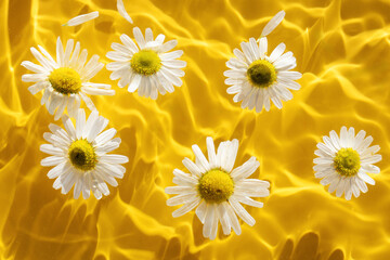  Fresh daisy flowers and white petals on the surface of the water on a yellow background with waves.