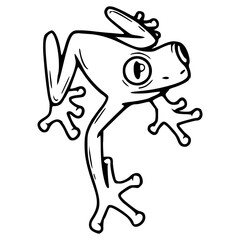 sweet little tree frog drawing