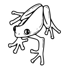 sweet little tree frog drawing