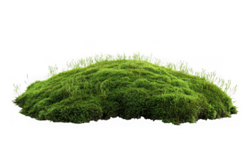 Green moss hill vegetation groundcover nature element terrain landscape ecology environment isolated on transparent background