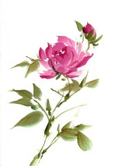 Obraz premium Watercolor Painting of a Pink Rose with Buds and Leaves