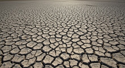 Photo of Cracked Earth Drought and Dry Soil