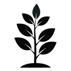 vector illustration of a plant