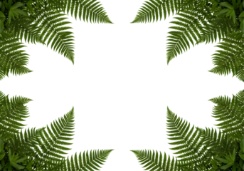 Vibrant green fern leaves round frame natural botanical woodland foliage design