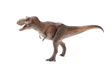 Tyrannosaurus rex dinosaurs toy isolated on white background.