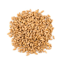 flat lay pile of spelt whole grain isolated on white background cutout