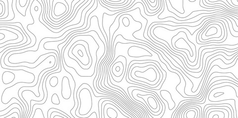  abstract topographic map with contour lines terrain in black and white style,  illustrating elevation changes and geographical features with precision.