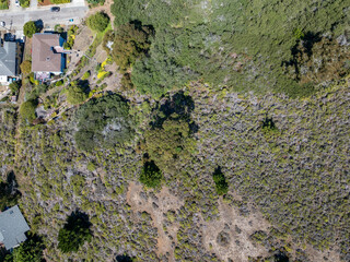 Aerial view of residential neighborhoods, coastal roads, and the Pacific Ocean from the hillside above Linda Mar Valley in Pacifica, California.
