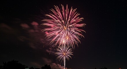 Photo of Vibrant Pink Fireworks Bursting in Night Sky