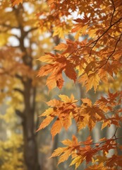 Close-up of maple leaves with blurred fall background, sunlight, nature
