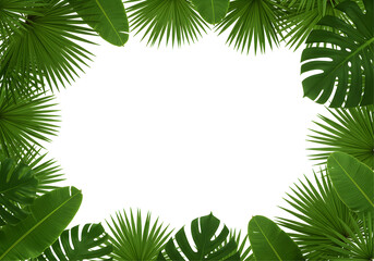 Tropical green palm leaves frame lush botanical summer beach holiday design