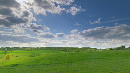Lush Green Fields Spread Beneath a Bright and Clear Sky Full of Fluffy White Clouds Time lapse.