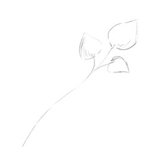 Sketch Branch with Leaves Hand Drawn, Black and White Illustration