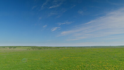 A Vibrant Green Field Sprawled Beneath a Crisp Clear Blue Sky, Inviting Exploration and Calm