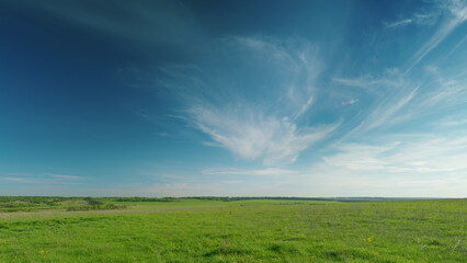 An Expansive Green Landscape is Beautiful Beneath the Clear Blue Sky, Perfect for Exploration