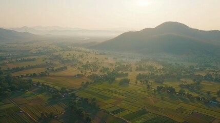 Aerial view of vast farmland with green crops divided into neat plots, symbolizing land leasing contracts and sustainable agriculture. Agricultural business concept.