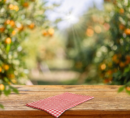 Wooden Table with Red Checkered Cloth in Orchard