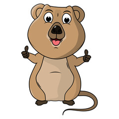 Cartoon Illustration of a Cute Quokka