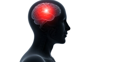 Obraz premium Human Head with Illuminated Brain Area, Medical Illustration