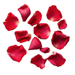 Fresh rose petals scattered creatively on a Transparent background for decoration and design purposes, Rose petals isolated on PNG background
