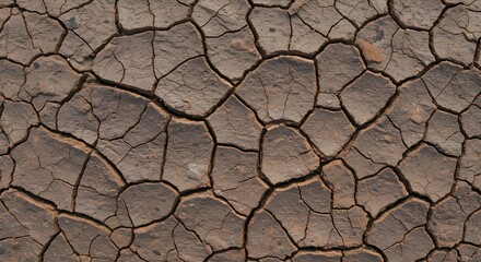 Cracked earth texture pattern