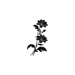 Flower silhouette with black 