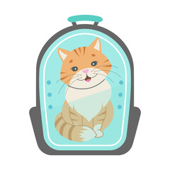 cat in a special backpack for travel. Pet carrier. Traveling with pets.