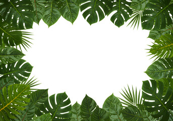 Fresh green leaves frame healthy natural botanical foliage vibrant growth concept