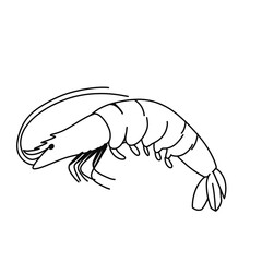 Shrimp shape on a plate in a restaurant