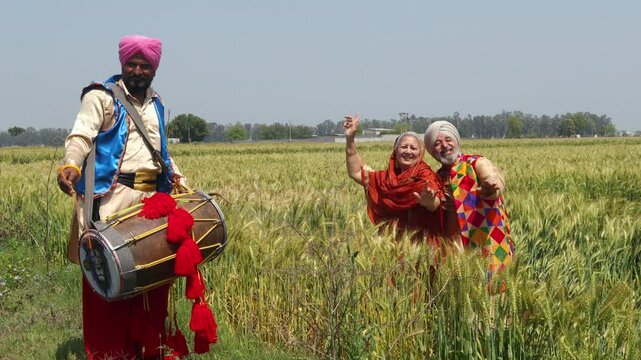 Punjabi senior sikh couple celebrating Baisakhi or vaisakhi festival in agriculture field and doing bhangra dance on dhol. Culture of india. People of punjab.