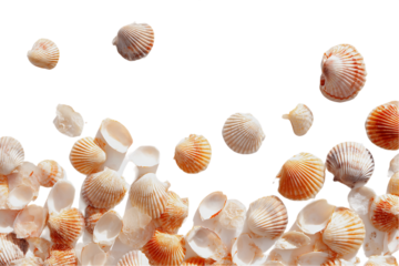 Falling Seashells on Transparent Background, PNG
