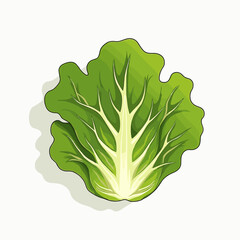 Fresh and Vibrant Green Lettuce Head Illustration with Detailed Veins on a White Background
