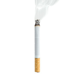 A cigarette with glowing orange embers and soft smoke on transparent background