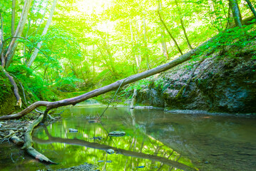small mountain brook rushing over a stones in mountain canyon