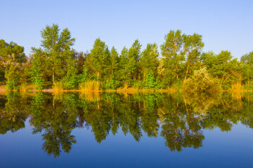 calm river with forest on coast under blue cloudy sky, summer outdoor natural landscape