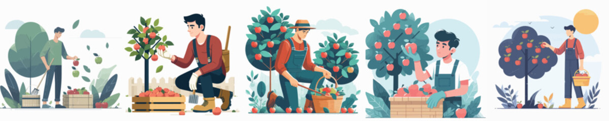 apple harvest male character vector