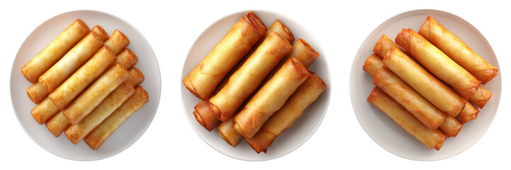 Fried Spring Roll Illustration on Plates in Realistic Style perfect for food ads appetizer promotions and restaurant menus