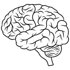 human brain vector icon illustration