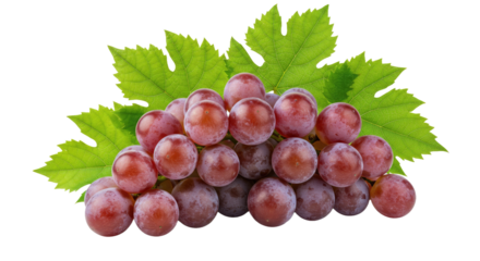 A clean transparent background PNG, ready for immediate integration into creative projects. Offers maximum flexibility for designers.