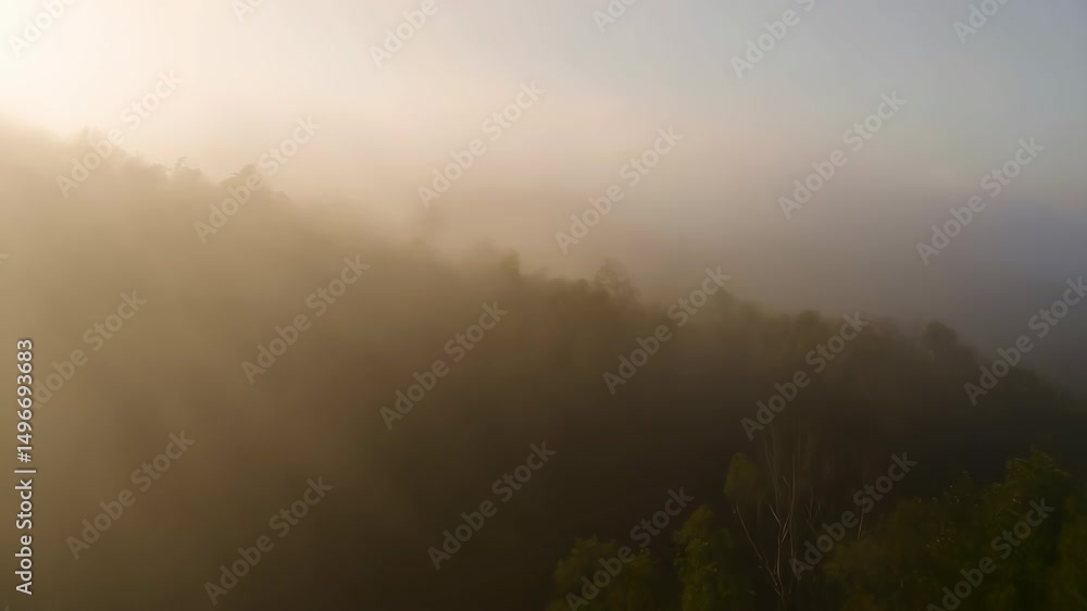 Poster sunlight pierces through a thick, ethereal fog enveloping a forested hillside, creating an atmospher