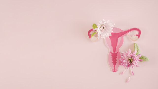 uterus anatomy and pink flowers, woman health, fertility therapy, gynecology, cervix ovary cancer concept