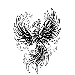 Obraz premium Phoenix Illustration: A dramatic monochrome line art illustration depicting a majestic phoenix in flight, engulfed in stylized flames, symbolizing rebirth and power.