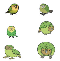 Obraz premium kakapo set of six colour picture