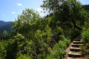 Stairs for tourists to climb and descend. Aksai gorge. Mountainous area with different vegetation.