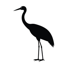 Silhouette of a Crane
