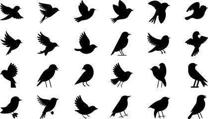 Collection of silhouettes various bird species flying perched