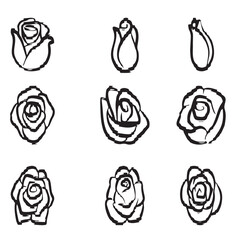 Flower Group Vector design