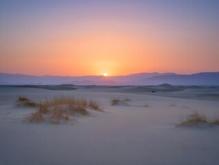 The desert landscape is bathed in the warm hues of dawn, creating a sense of tranquility and solitude.